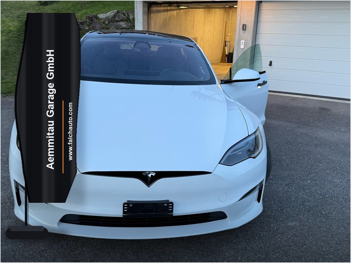 Tesla S 100 Palladium