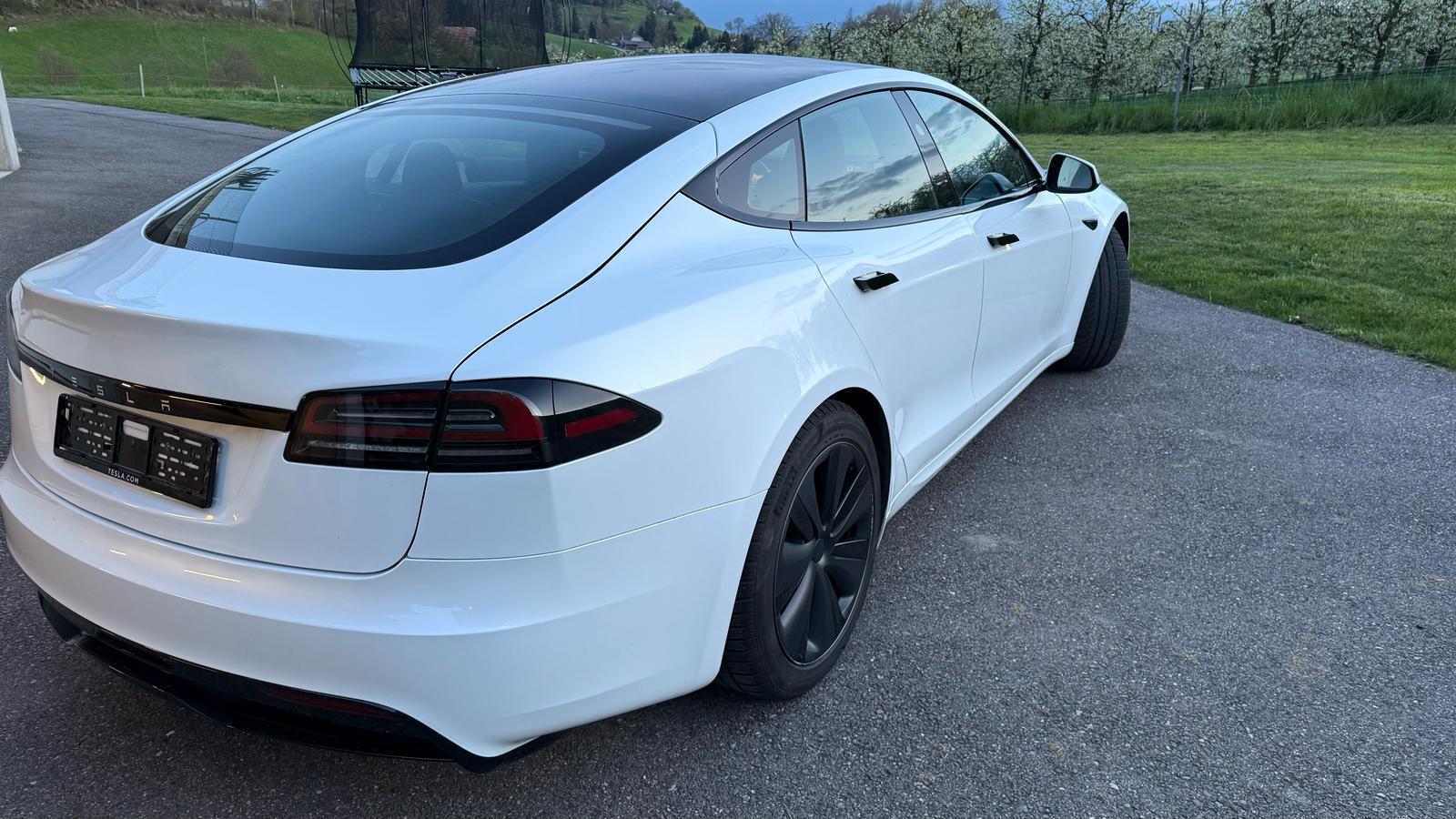 Tesla S 100 Palladium photo 6