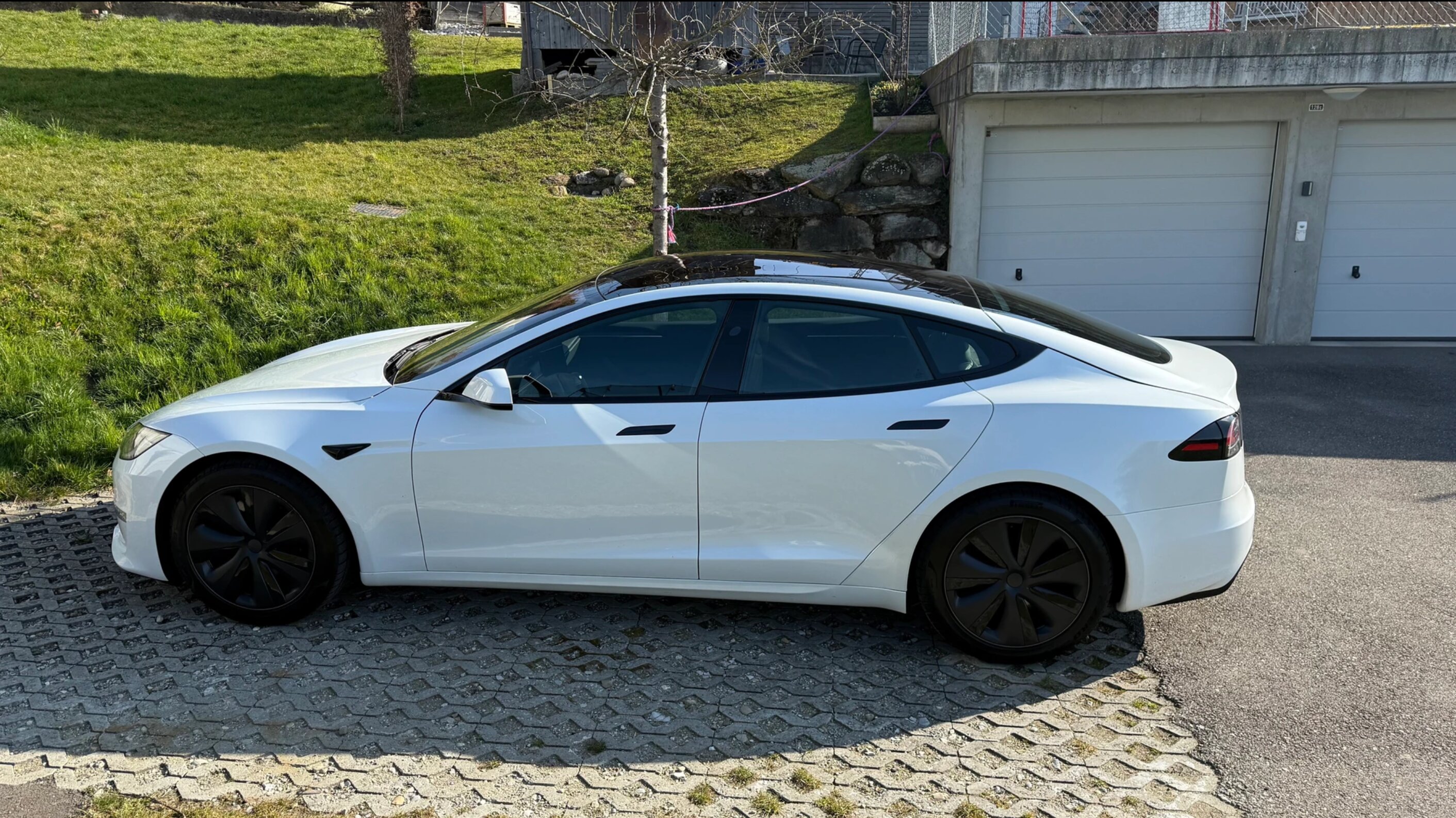 Tesla S 100 Palladium photo 9