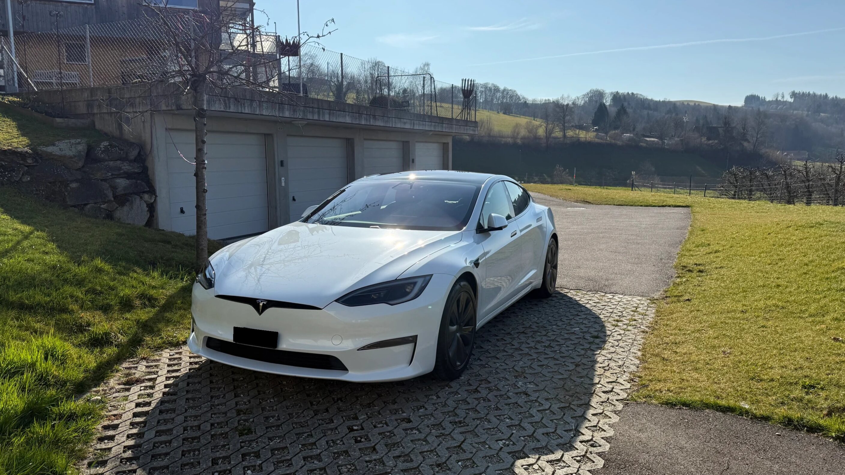 Tesla S 100 Palladium photo 10