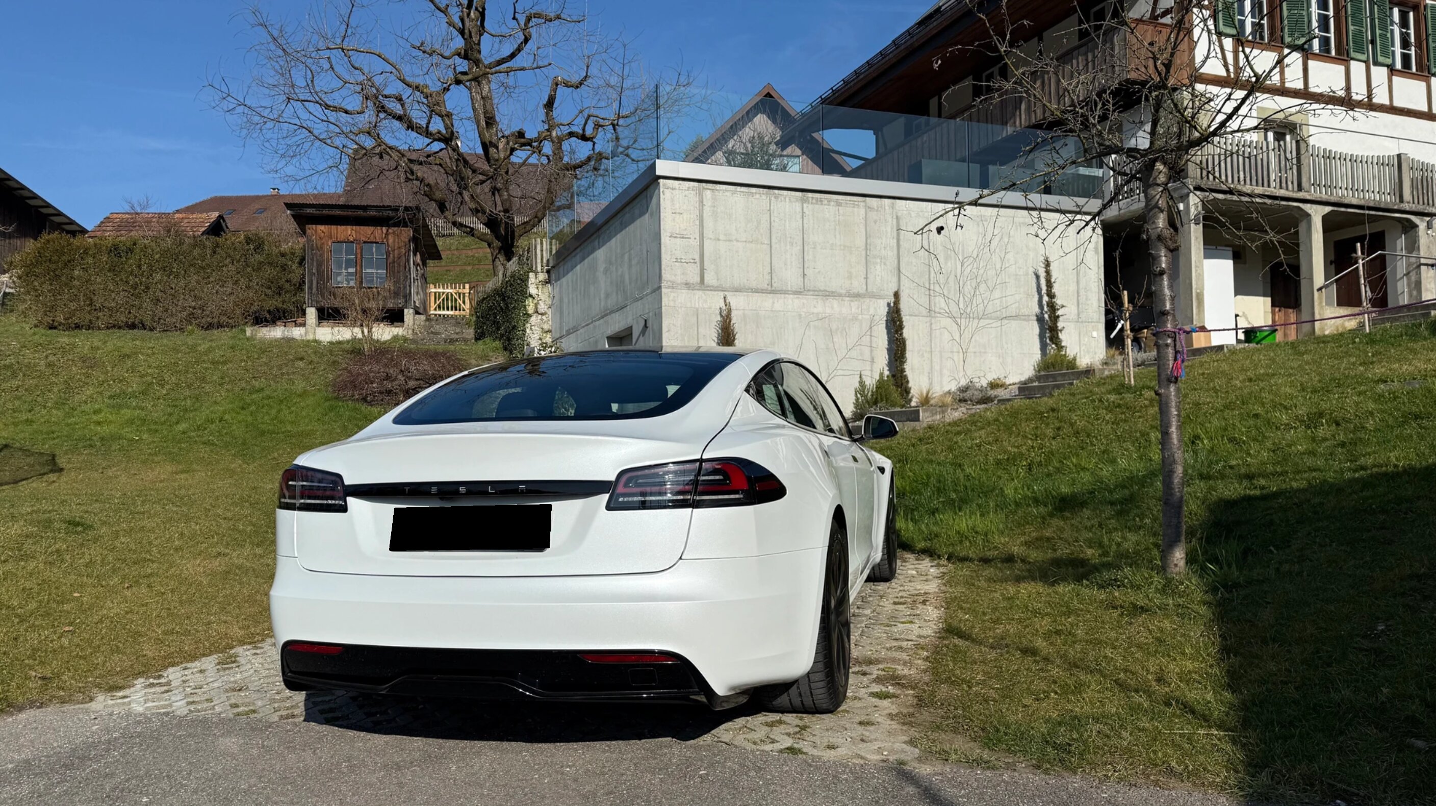 Tesla S 100 Palladium photo 11
